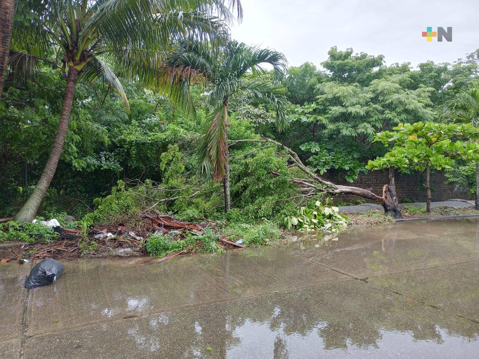 Lluvias provocan inundaciones en calles y colonias de Coatzacoalcos