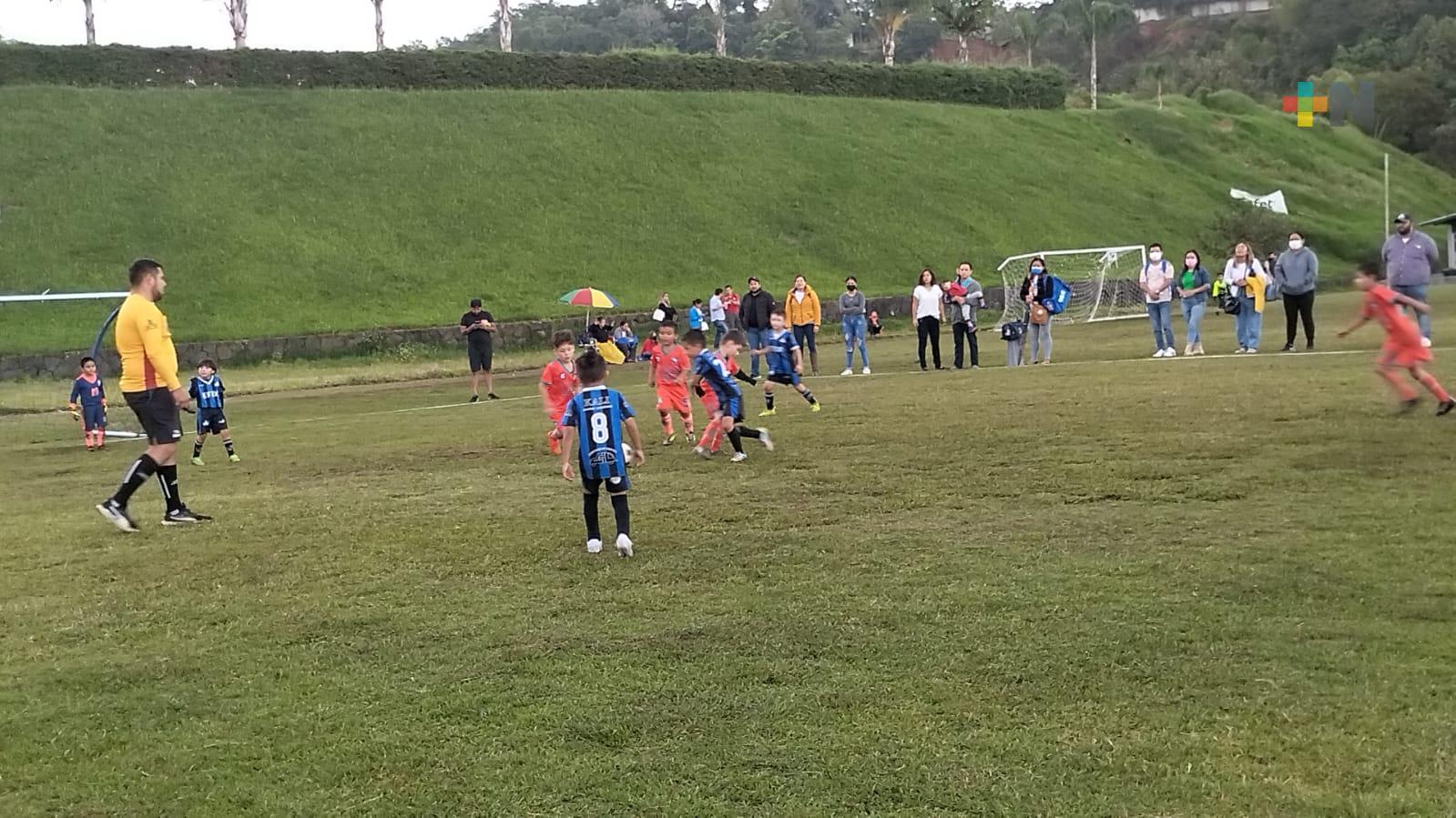 Delfines e Inter participarán en Torneo de Clubes Unidos