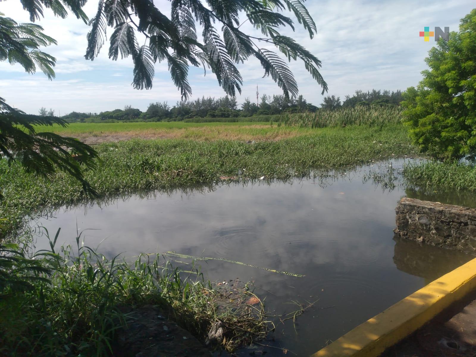 Desborde de laguna Lagartos afecta a familias de la colonia Playa Linda