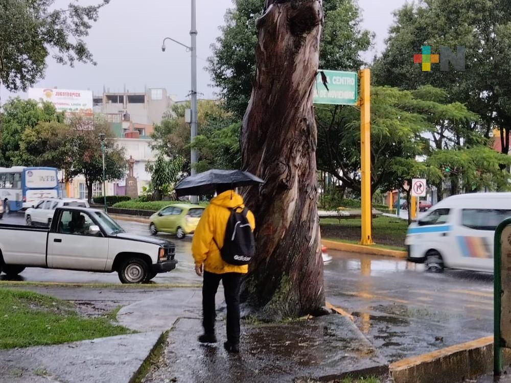 Lluvias y tormentas por la tarde-noche en zona montañosa de Veracruz