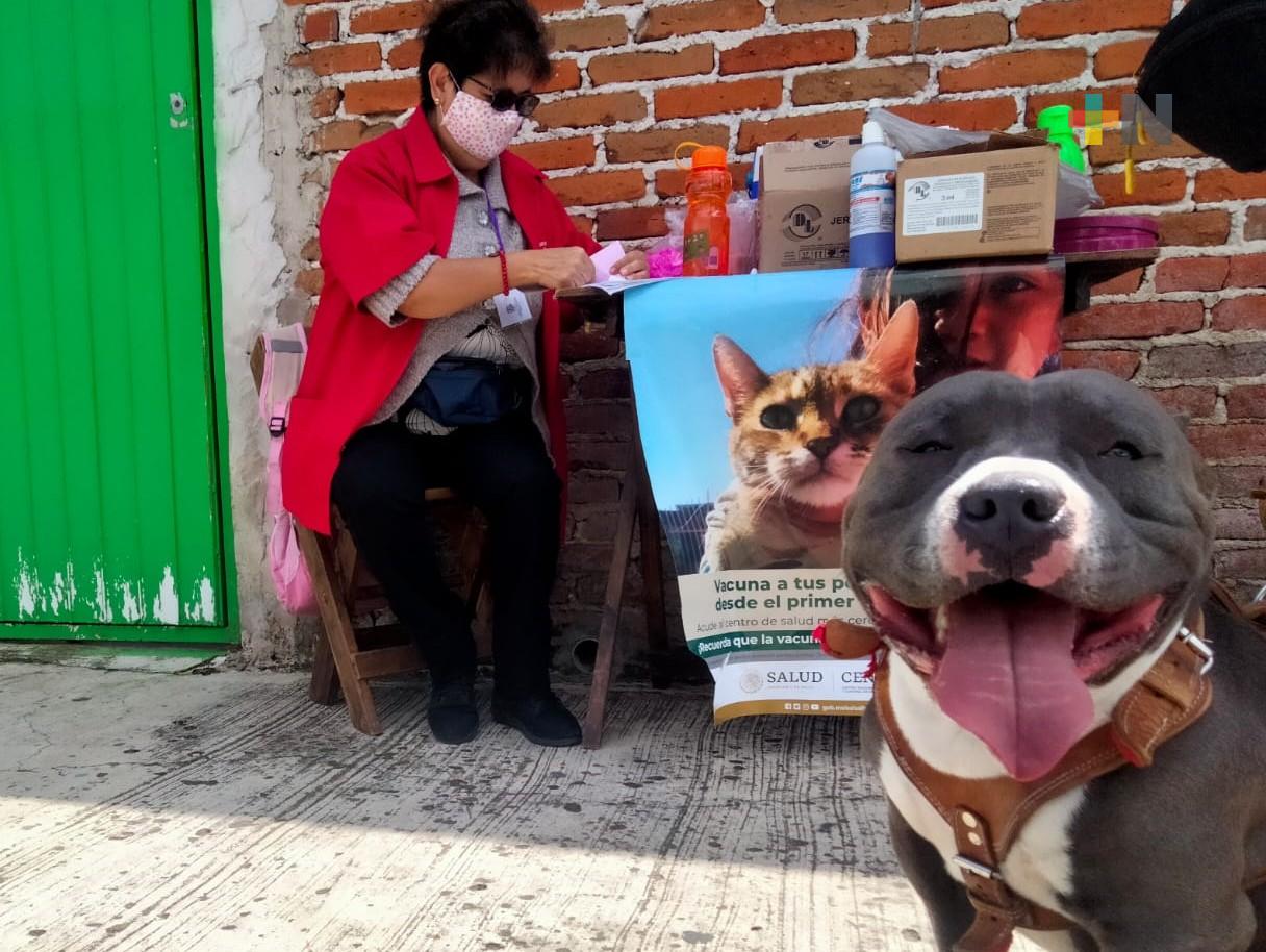 Hasta el sábado permanecerá módulo de vacunación antirrábica en colonia Obrera Campesina