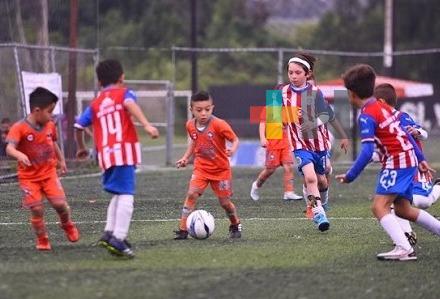 Este viernes, Guadalajara hará visorias en Xalapa