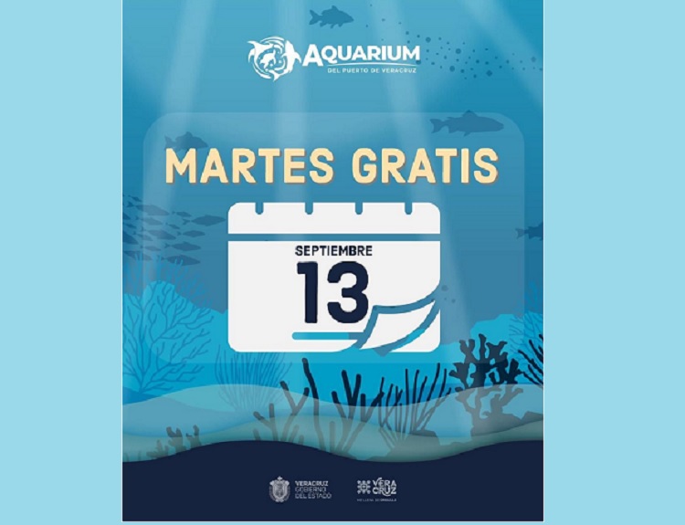 ¡No te quedes fuera! El martes 13, el Aquarium del Puerto de Veracruz es gratis