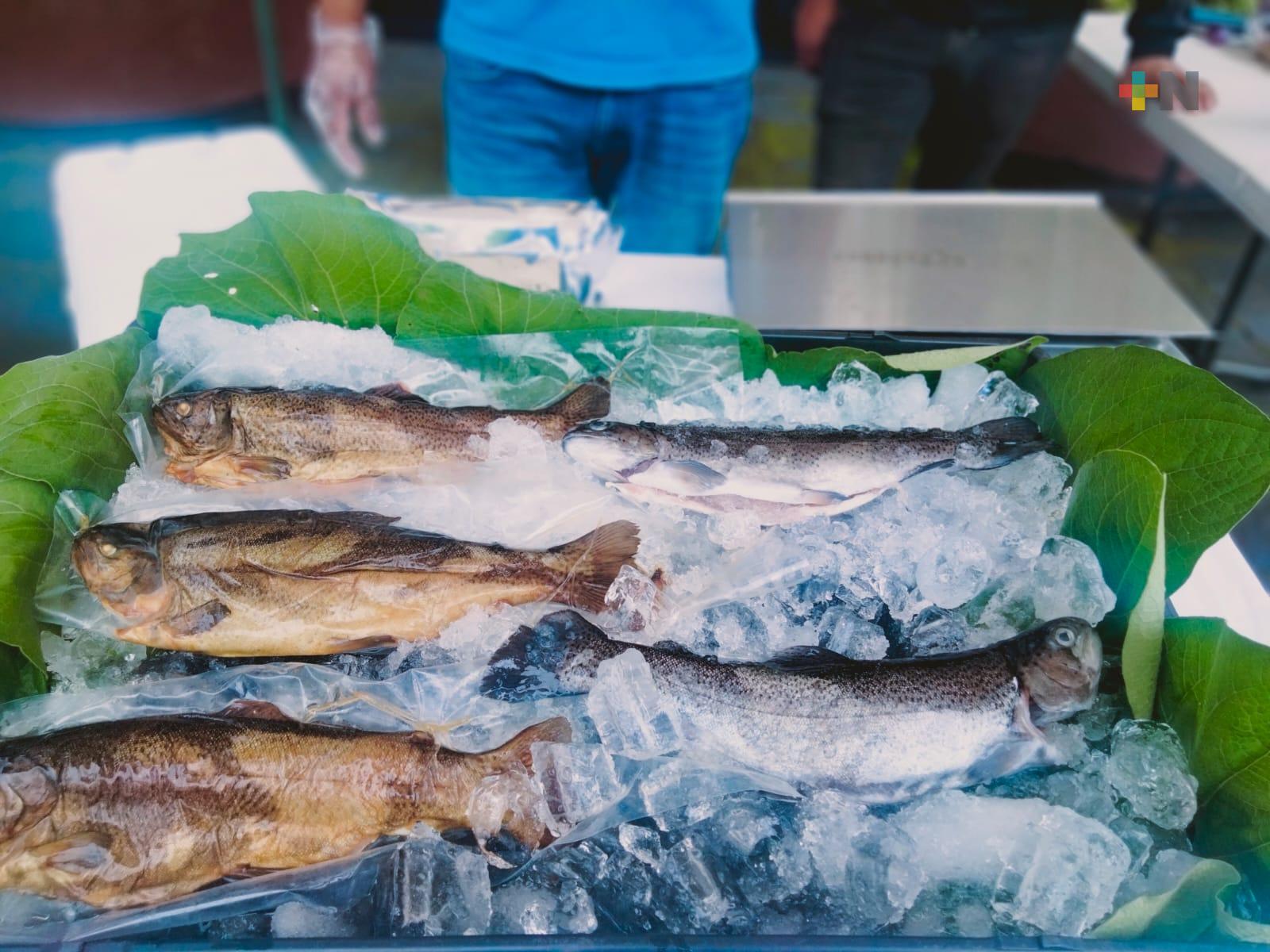 Regresará venta de trucha a Sefiplan la próxima semana