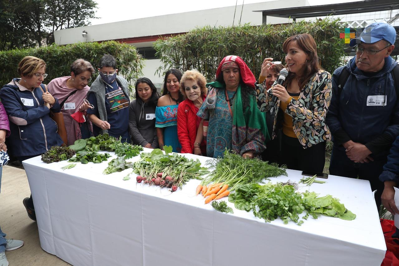 Concluye curso de Agricultura Urbana, en la Cámara de Diputados