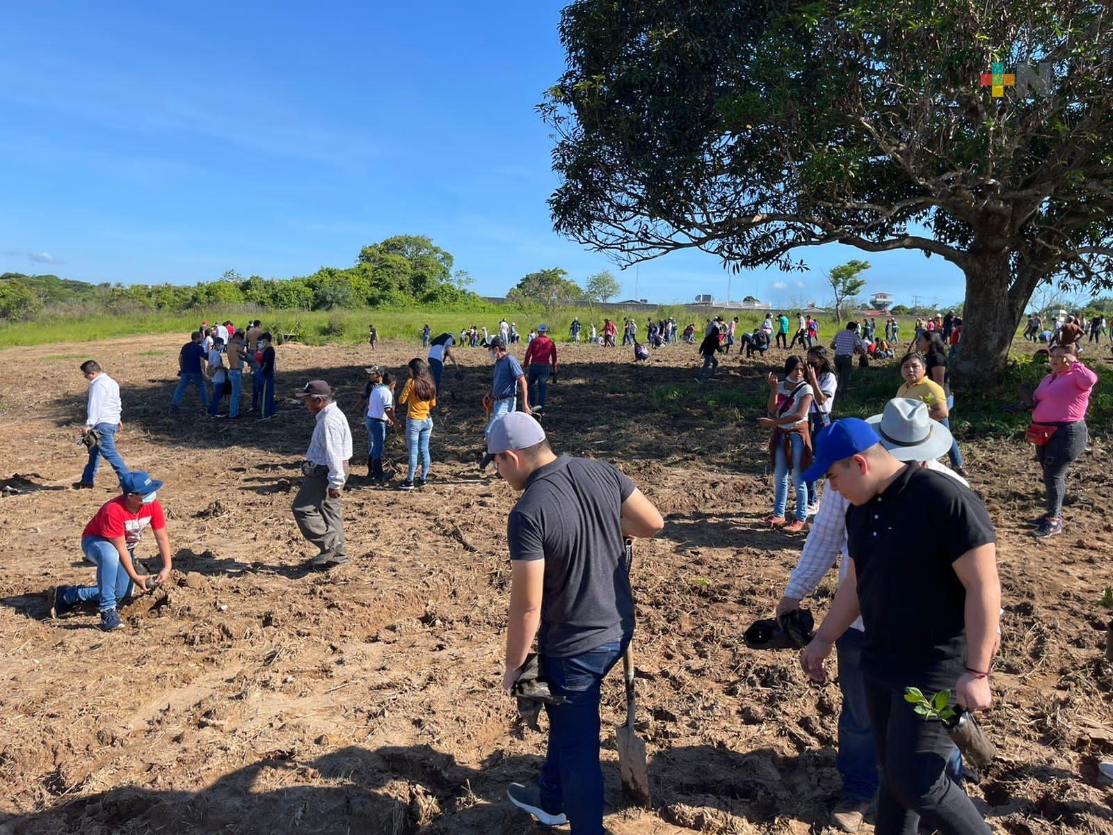 Las Choapas participó en segunda jornada de «Fabriquemos Agua Reforestando»