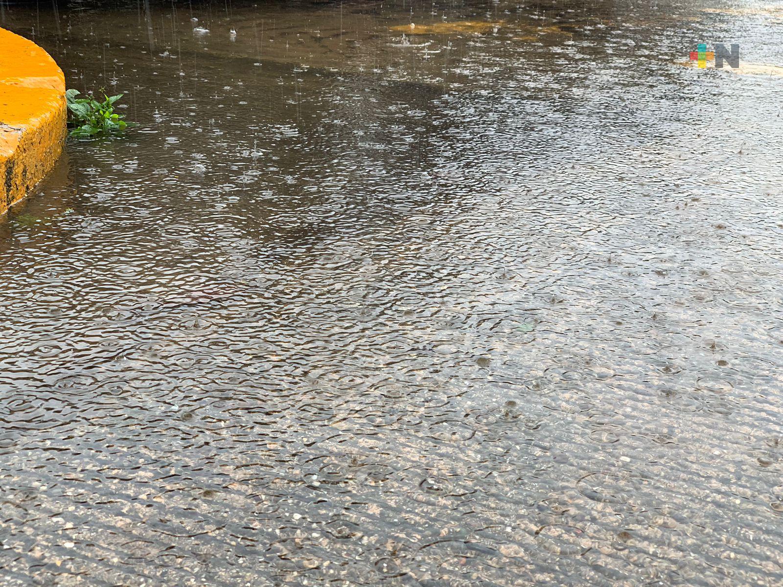 Sábado con lluvias y tormentas dispersas en la entidad veracruzana