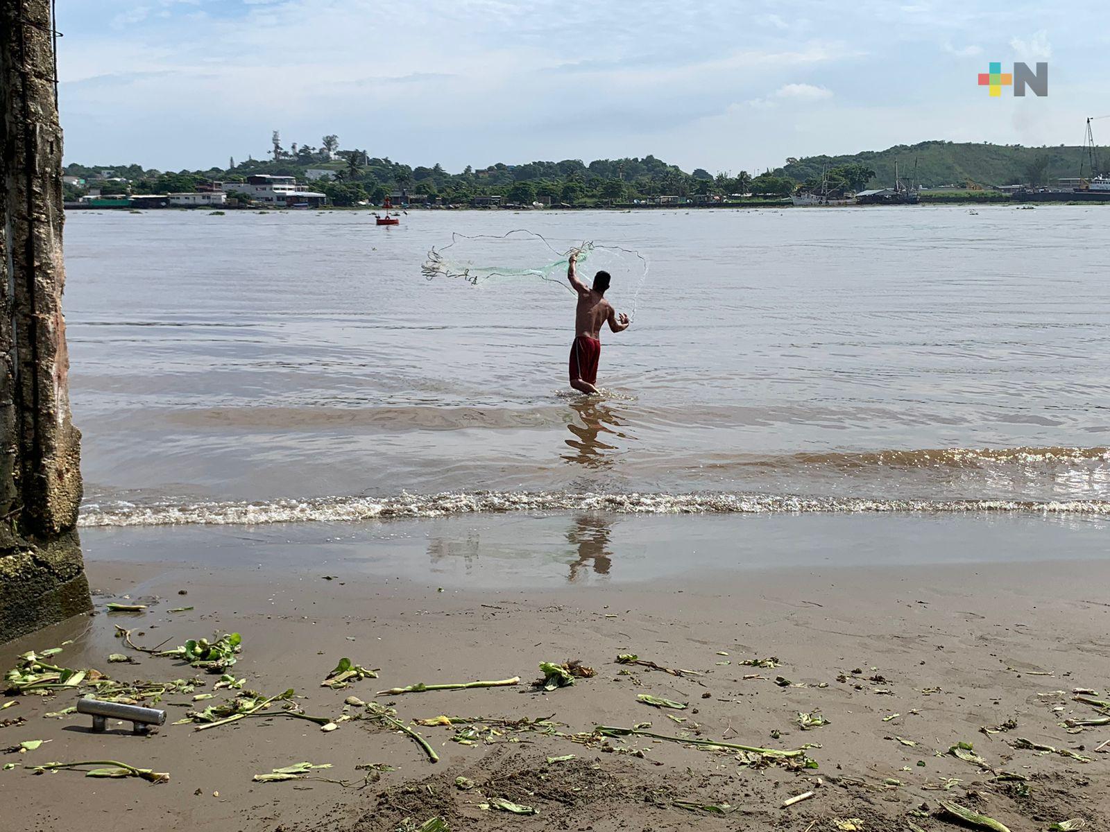 Urgen a actualizar legislación pesquera para evitar sobreexplotación de especies marinas