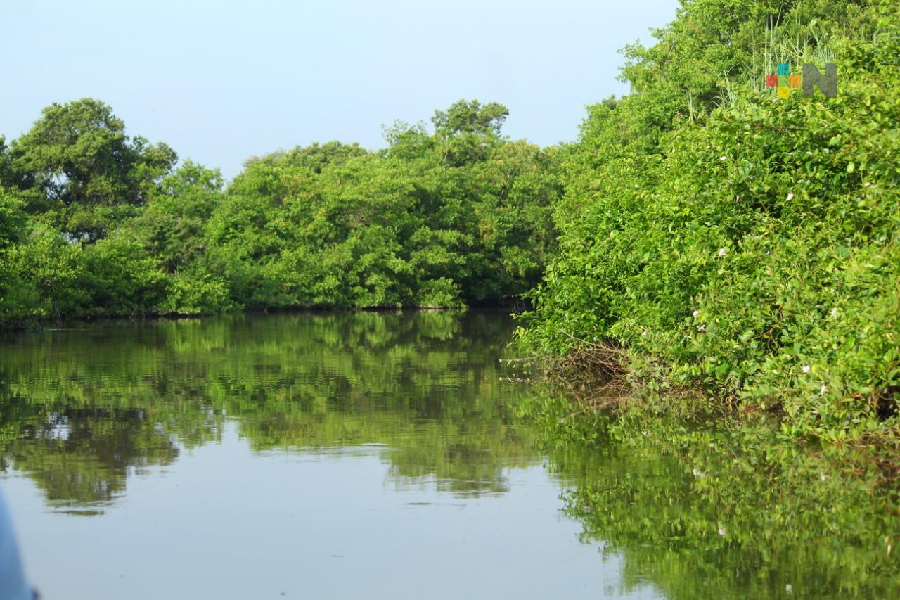 Actualizan el registro de áreas protegidas en Veracruz
