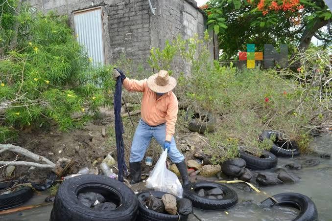 Falta mayor conciencia del cuidado ambiental en zona conurbada Veracruz-Boca del Río