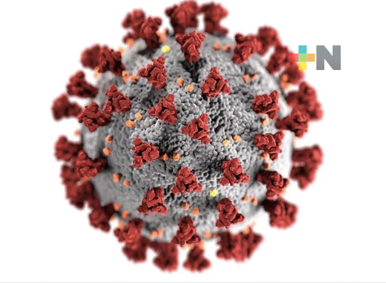 OMS mantiene a Covid-19 como «emergencia sanitaria internacional»