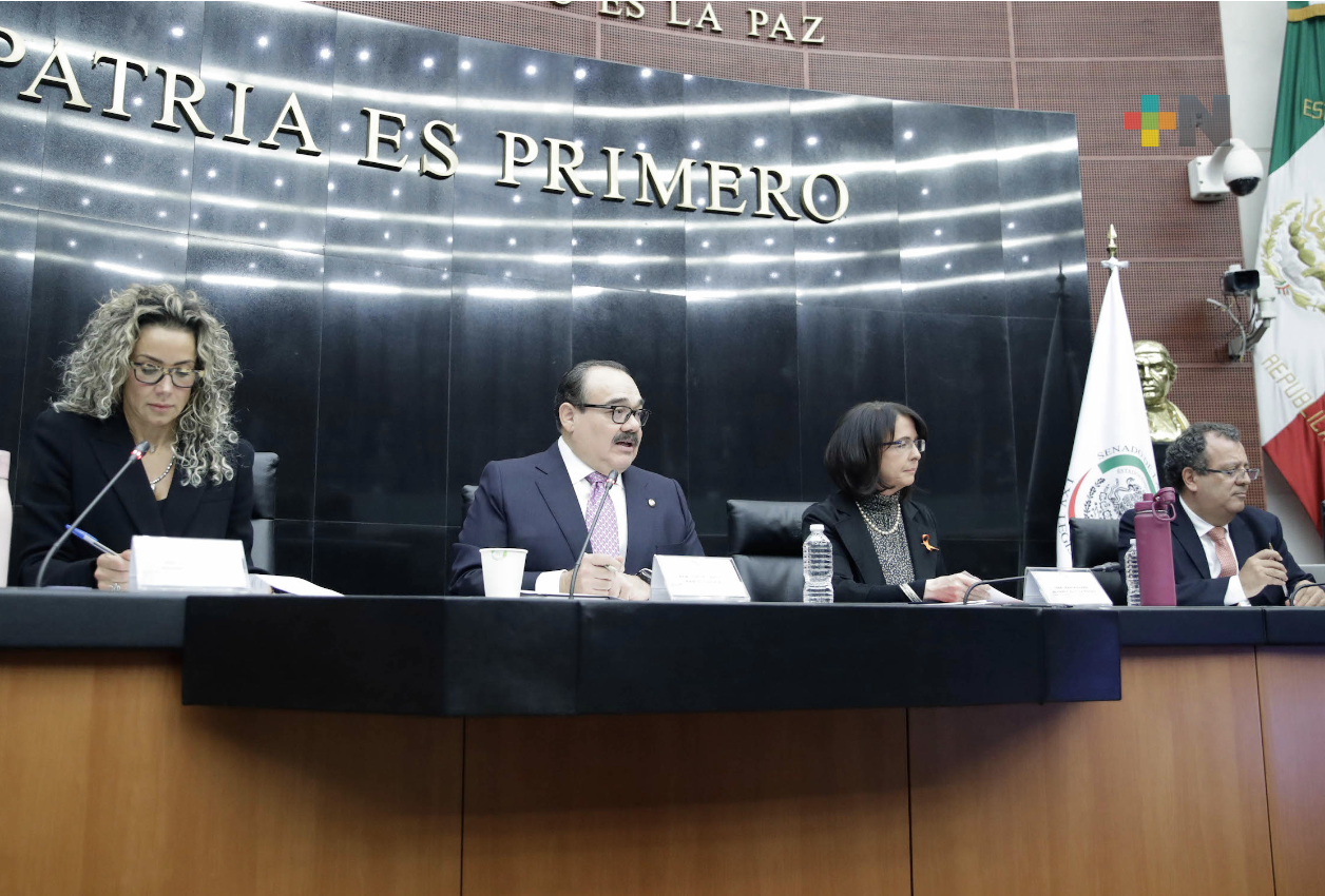 Becas de posgrado y sistema de investigadores, temas analizados por senadores con titular del Conacyt