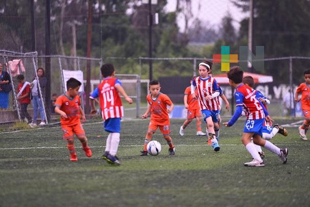 Delfines de Xalapa agradecen apertura del estadio Antonio M. Quirasco