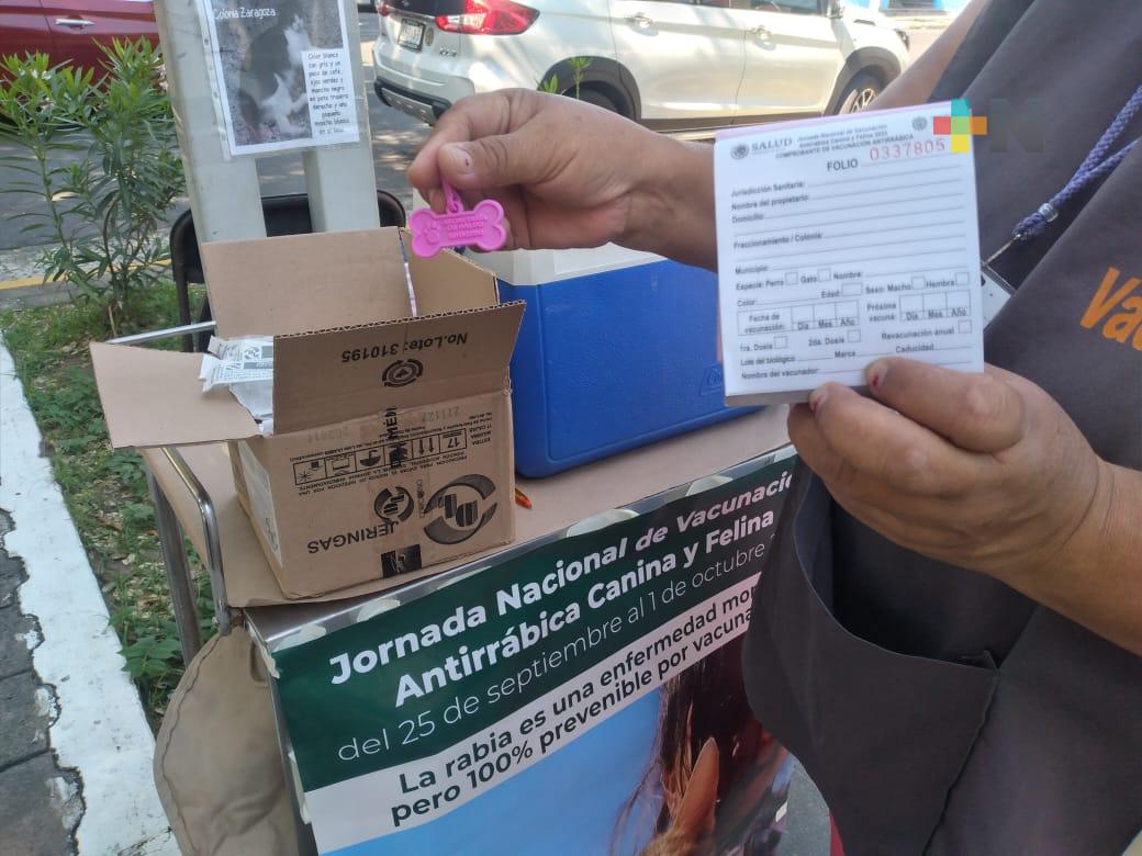 Ampliarán Jornada de vacunación antirrábica canina y felina
