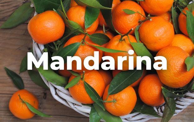 Mandarina, fruto que alegra la vida