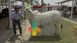 Productores de Tamiahua recibirán apoyo para implementos que eleven su productividad