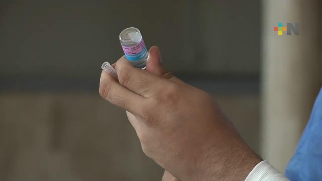 Cofepris autoriza vacuna antineumocócica; podrá aplicarse desde la sexta semana de vida