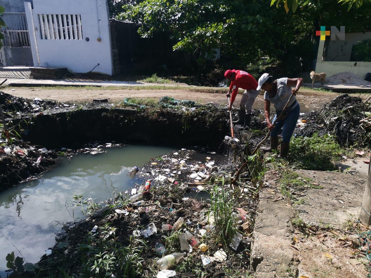 Retiran basura, desechos y lirio de canales de aguas negras en Coatzacoalcos