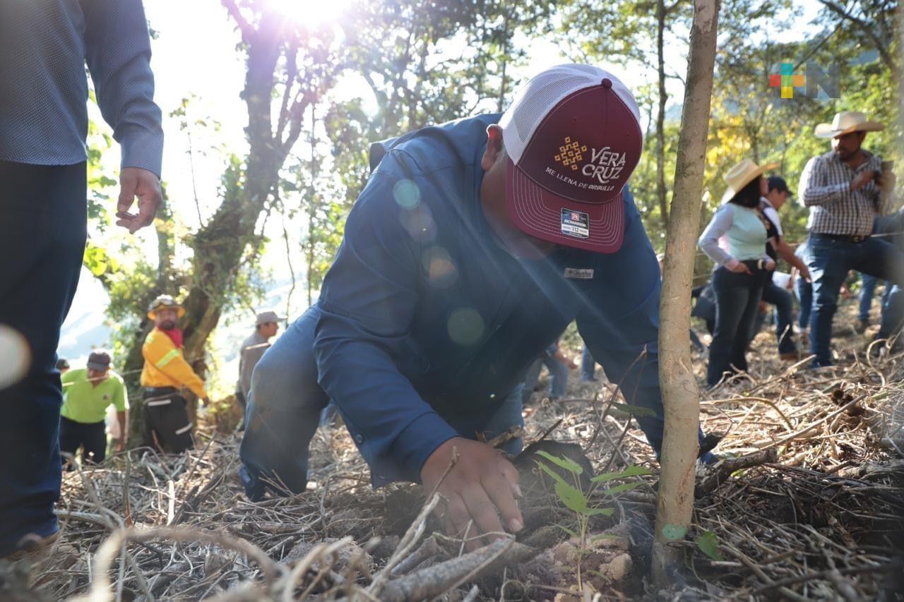 Secretario de gobierno, Eric Cisneros participó en segunda jornada «Fabriquemos Agua Reforestando»