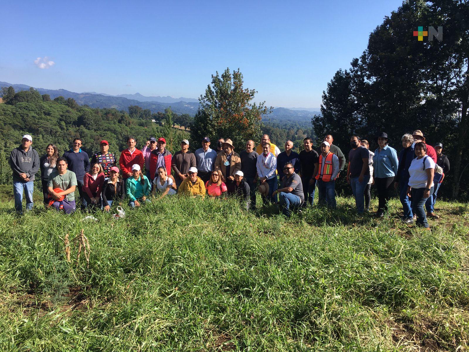 Titular de Sedecop sembró árboles en «Fabriquemos Agua Reforestando»