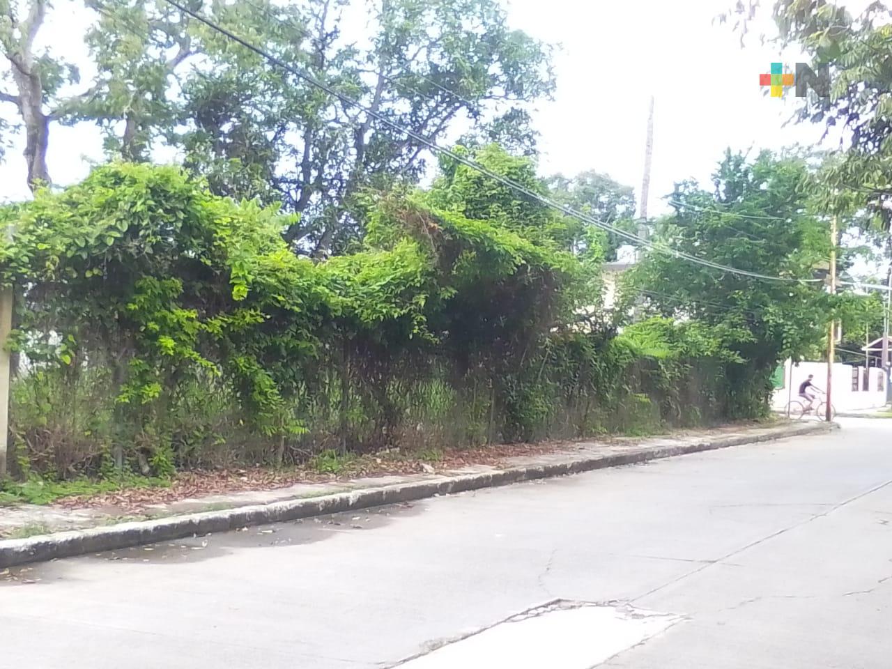 Piden vecinos de Tuxpan limpieza en terrenos baldíos