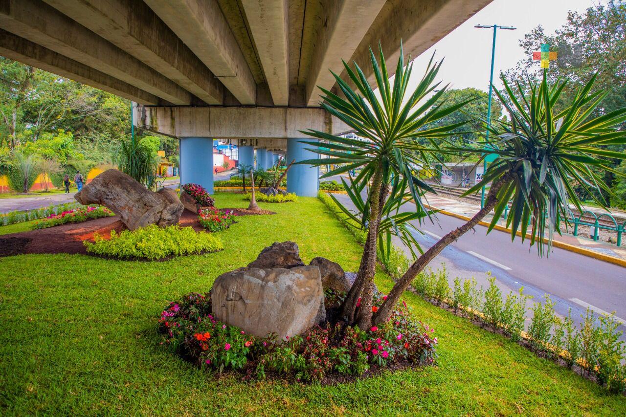 Recupera la Dirección de Medio Ambiente espacios públicos en Xalapa