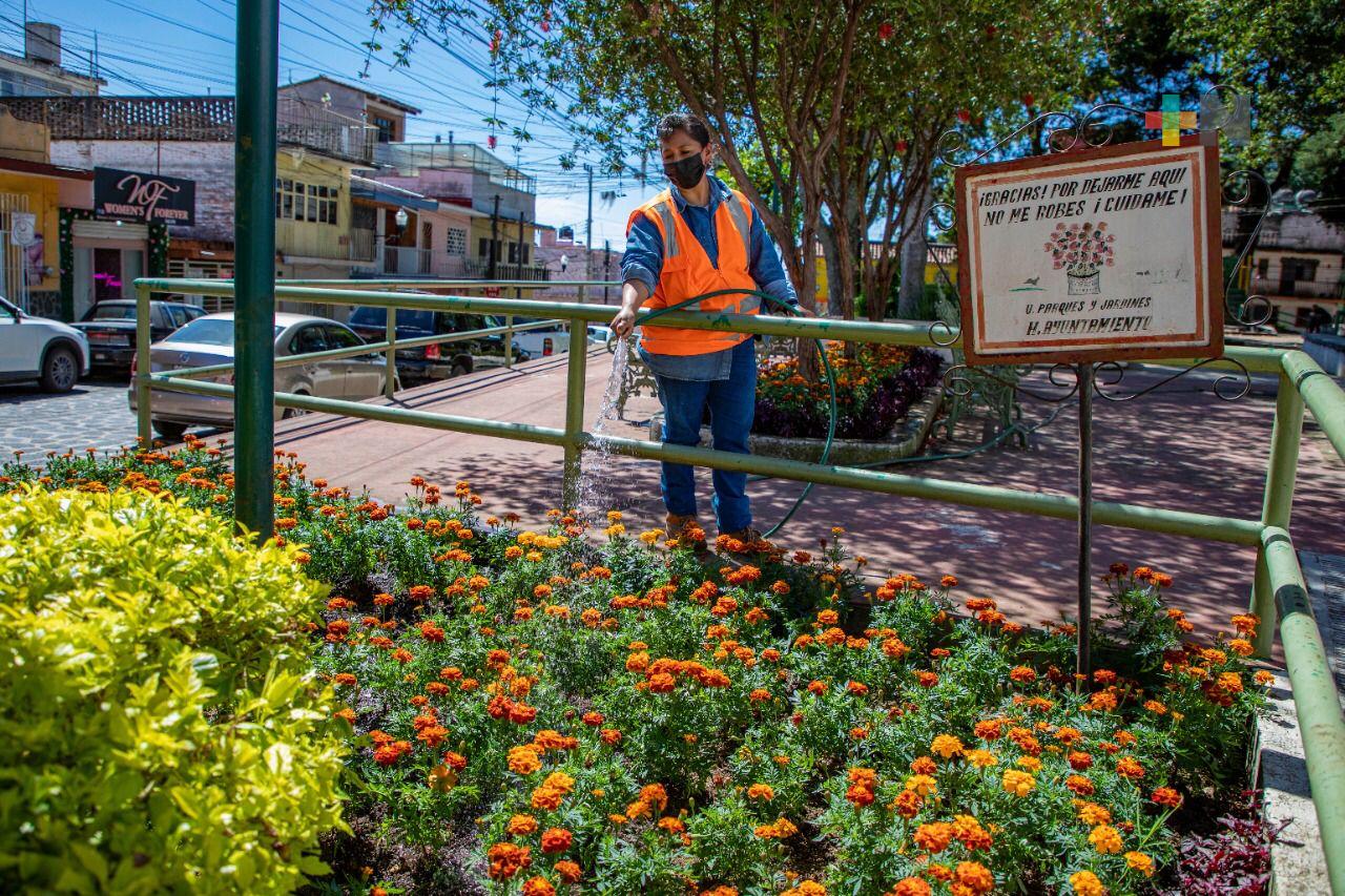 Realiza Ayuntamiento trabajos de mantenimiento en panteones