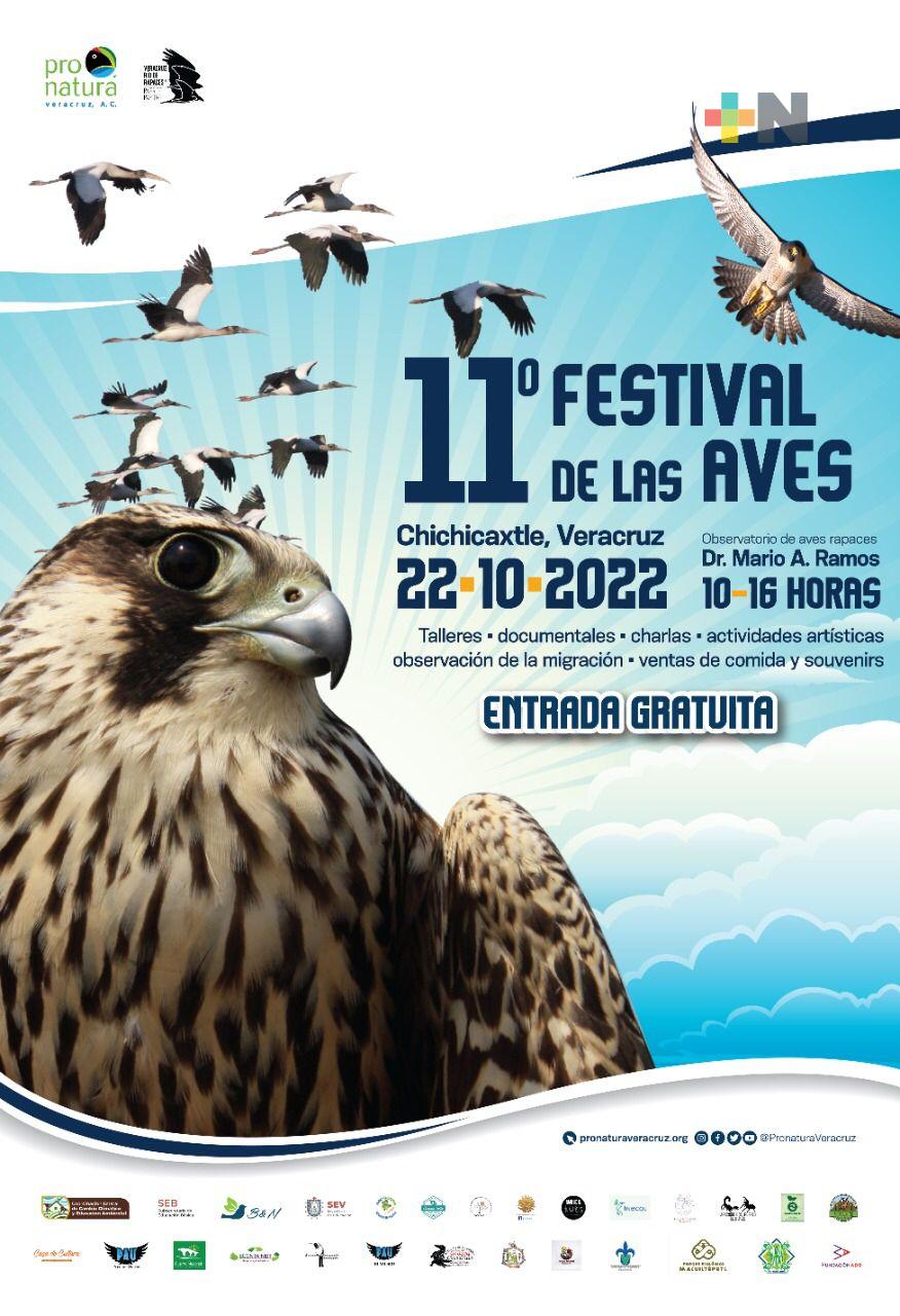 Celebrarán onceavo Festival de las Aves en Chichicaxtle