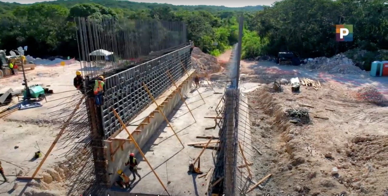 INAH rescatará más de 11 mil vestigios en tramo 7 del Tren Maya