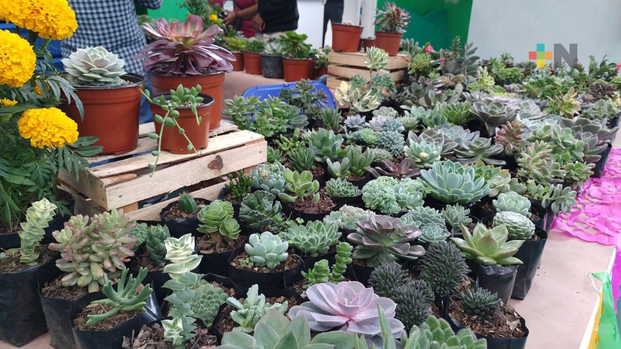 Ofrecen productores de orquídeas y suculentas sus productos en USBI Xalapa