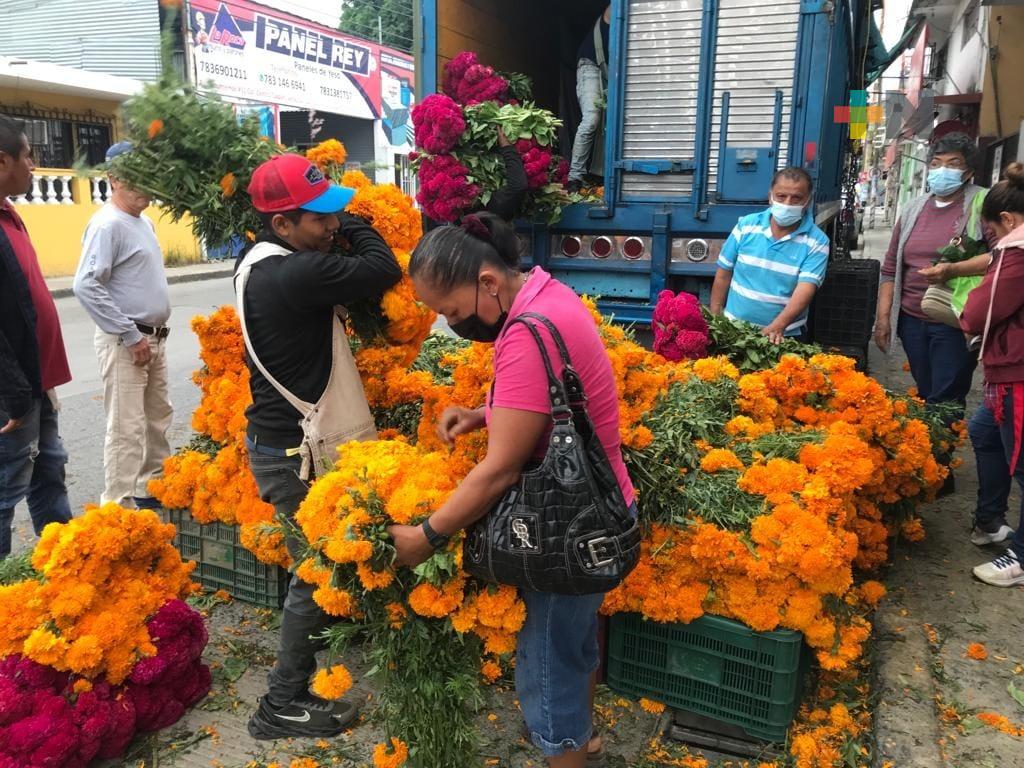 En un 100% incrementó venta de flores por Día de Muertos en Xalapa