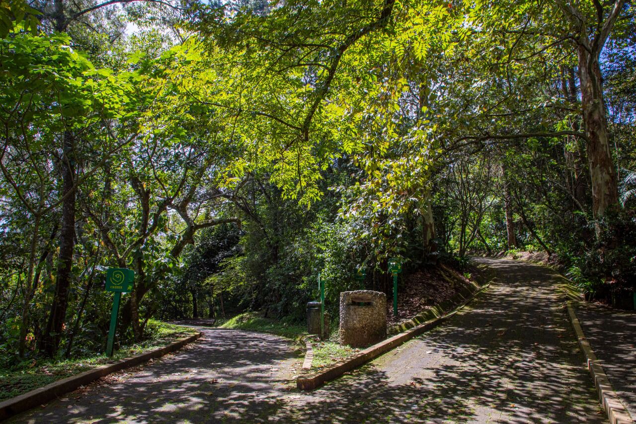Temas ambientales y ecológicos son de vital importancia en Xalapa