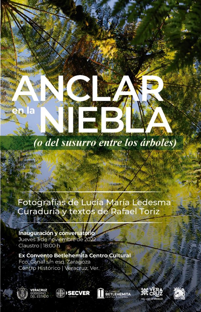 Presenta IVEC la exposición Anclar en la niebla (o del susurro entre los árboles)
