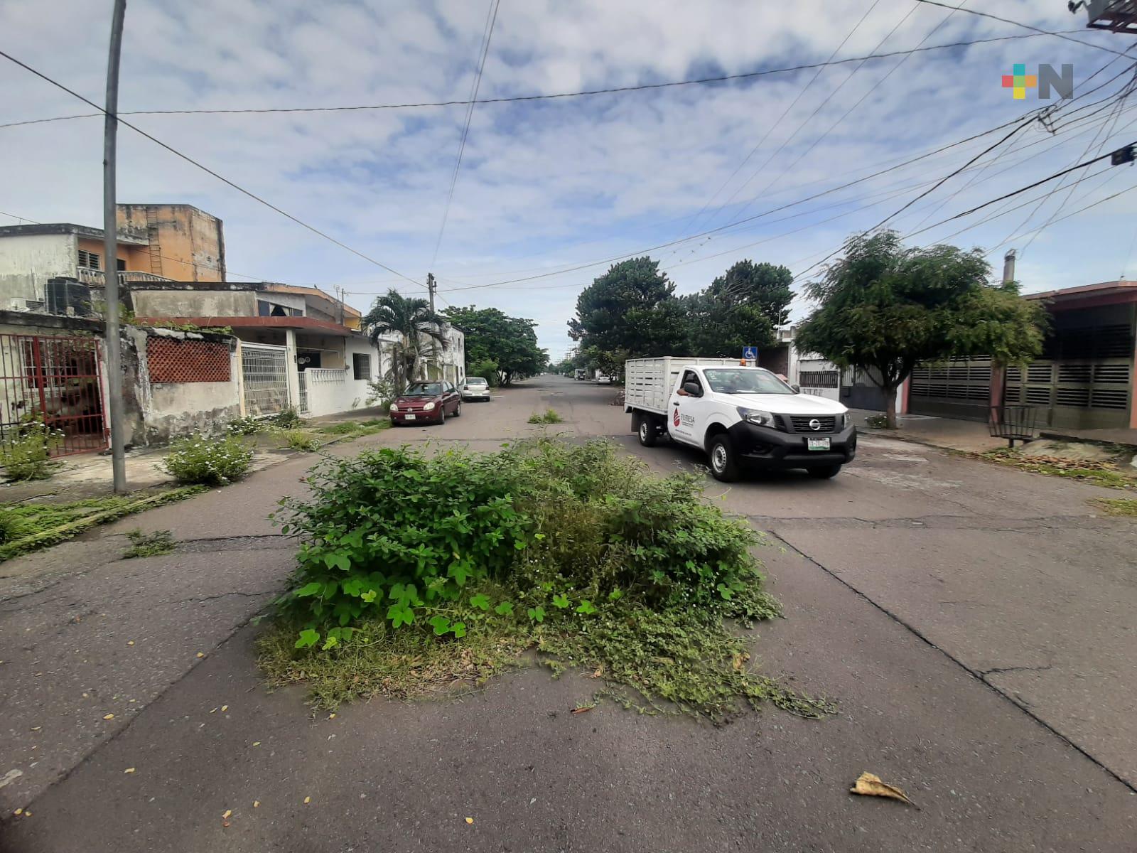 Piden atender hundimientos en calles de colonia Virgilio Uribe; parecen jardineras