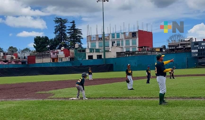 En marcha los playoffs del Campeonato Metropolitano de beisbol infantil