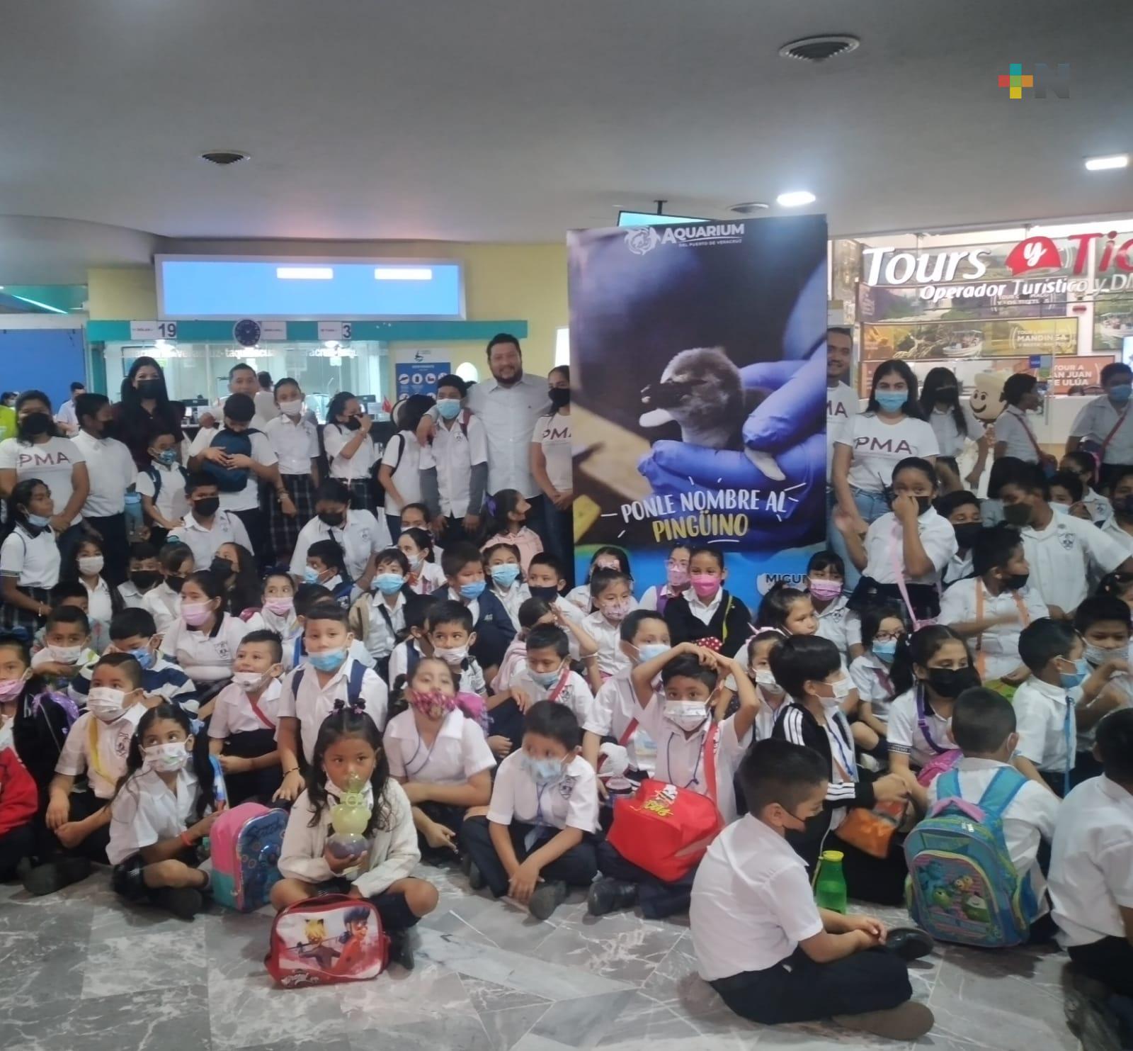 Niñas y niños visitan Aquarium del Puerto de Veracruz; eligen nombres de pingüinos