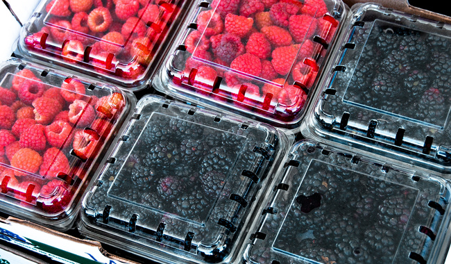 Aumentó 8.78 % exportación de frutillas mexicanas a 38 naciones