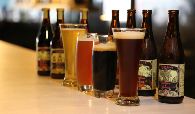 Reporta balanza comercial agroalimentaria superávit de cinco mil 286 mdd de enero a agosto