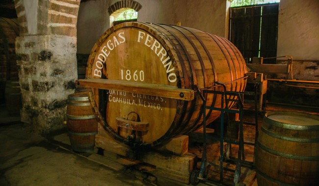 Lunes inicia en México el 43º Congreso Mundial de la Viña y del Vino