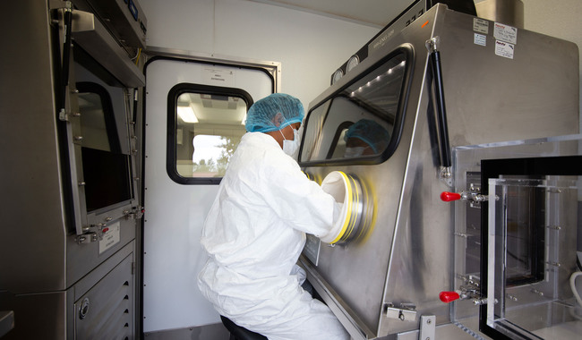 Establece Agricultura nuevas medidas para control y erradicación de la influenza aviar