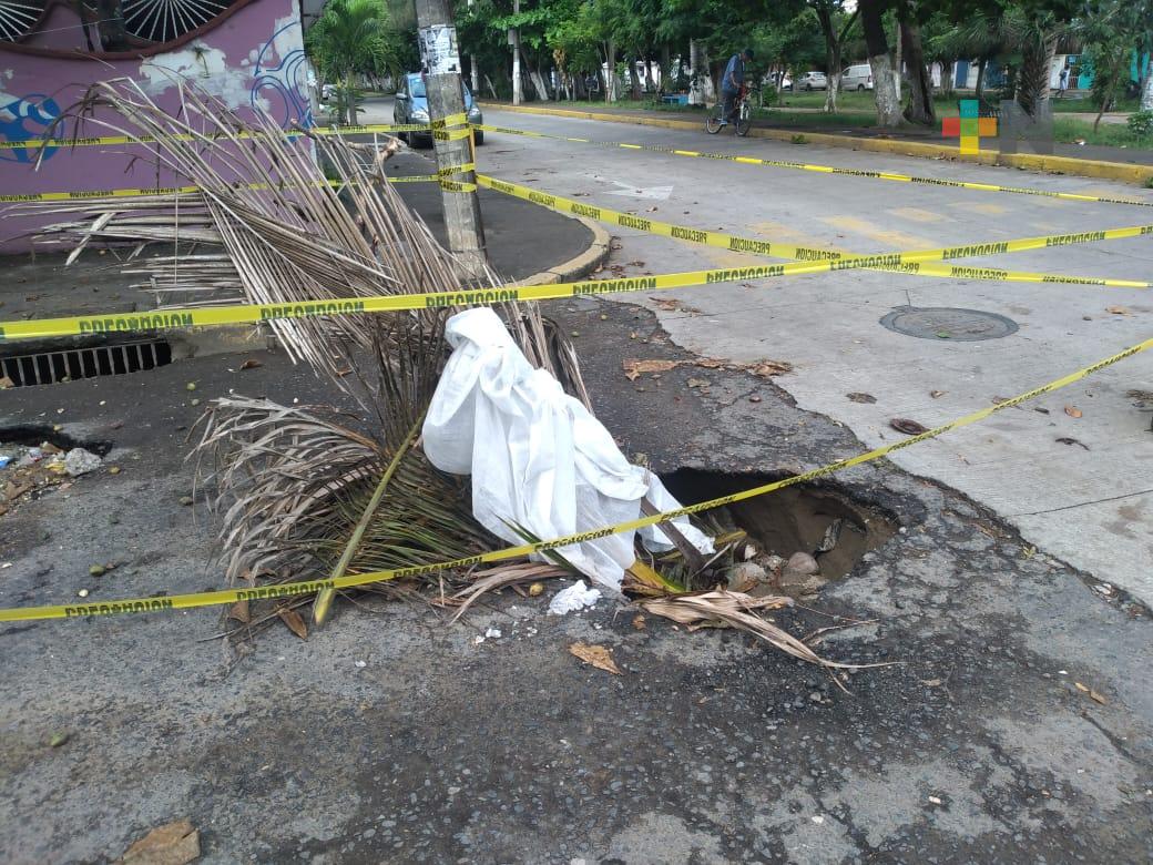 Se forma socavón en calle del Tigre del Infonavit Buena Vista Veracruz