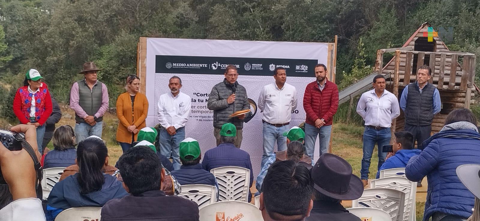 En Las Vigas arranca temporada oficial de árboles de Navidad