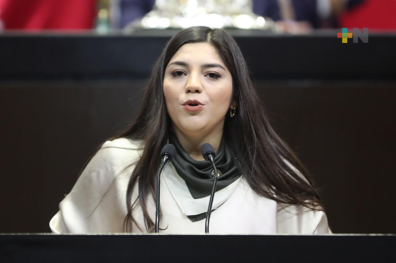 Lamentable, que el presidente del INE haya ocultado encuesta sobre reforma electoral a la Comisión de Venecia: Amairany Peña