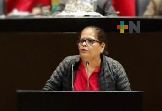 Se deben establecer mecanismos de consulta para personas con discapacidad, incluidos niños y niñas