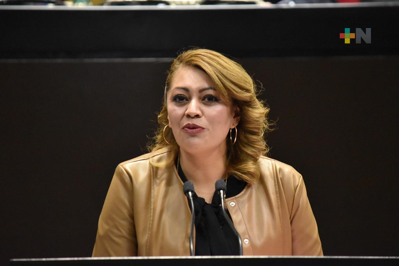 PEF 2023 asegura justa distribución de  riqueza y no acumulación del capital en unos cuantos: Ana Karina Rojo