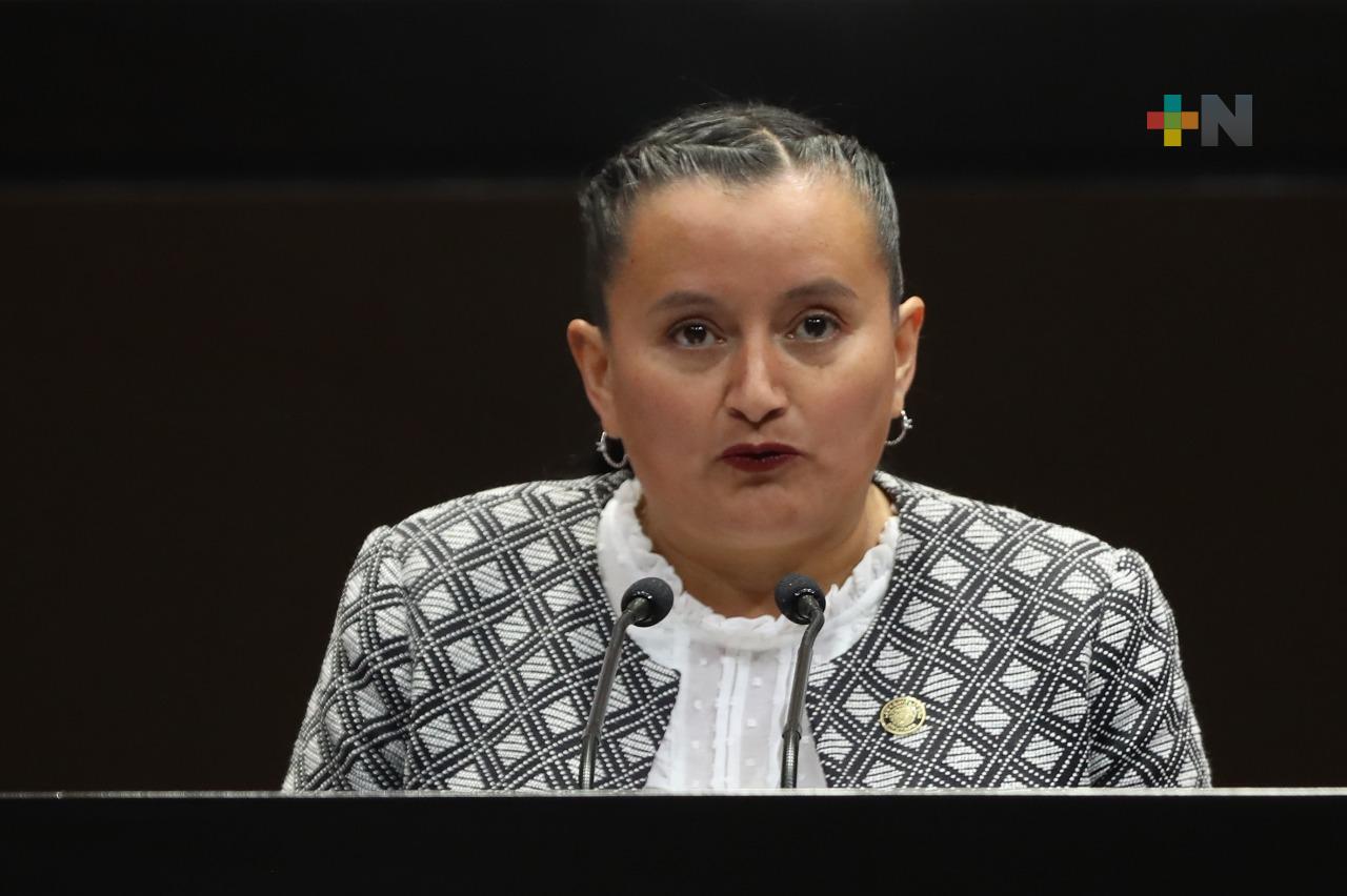 Es preciso que países ricos cooperen con aquellos en desarrollo para detener calentamiento global: Esther Martínez