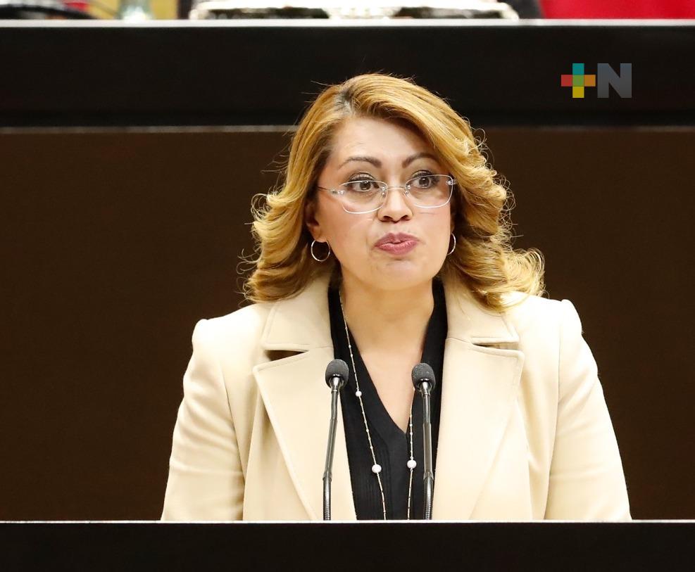 PT coadyuva a instaurar el estado de bienestar, la 4T sabe cumplir sus promesas: Karina Rojo