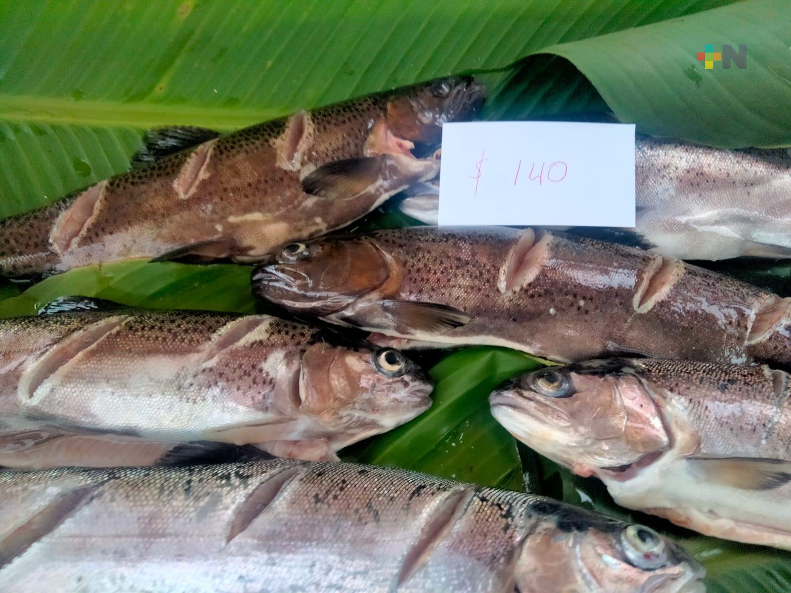 Realizan venta de una gran variedad de truchas en Xalapa