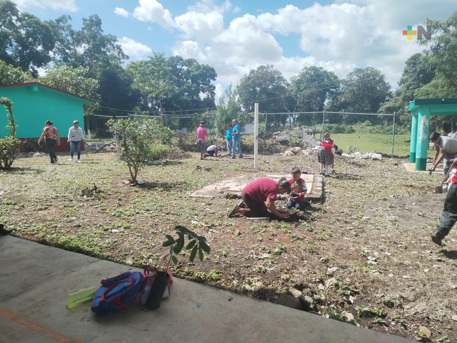 Sedesol pone en marcha programa de reforestación en Atoyac