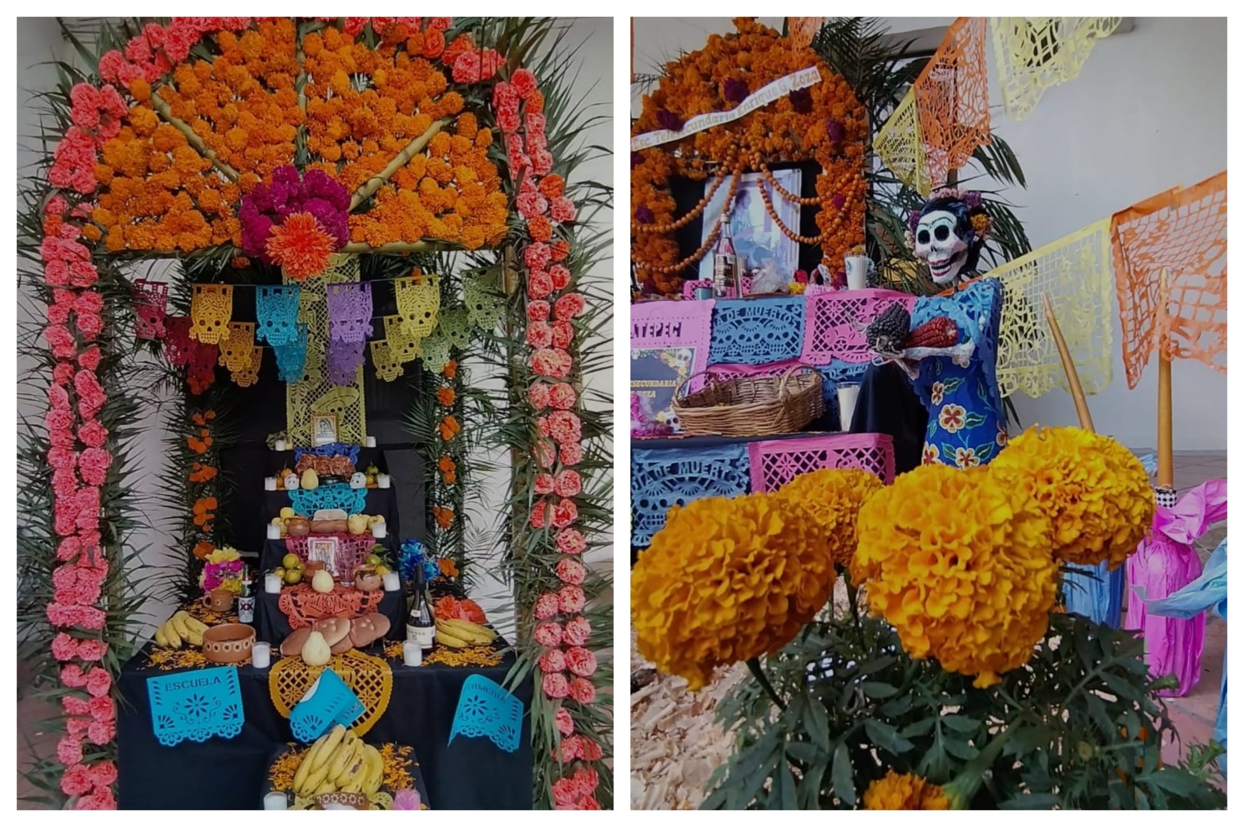 Concluye con éxito la muestra de altares y el Festival de Catrinas en Coatepec